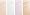 Concealer Palette