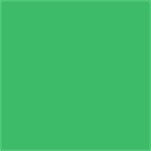 Wausau Astrobrights Heavy Duty Paper - 24 lb - 11 X 17 Inches - Gamma Green - 500 Sheets 22543