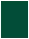 1 DZ 62x62 Forest Green Restaurant Linen Tablecloths Signature