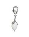 Charms Silver Natural Beauty