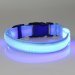 Arcturus LED Dog Safety Collar, Blue, Medium