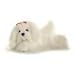 Plush Magnolia Maltese 12