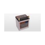 Braille Battery 21lb, 1380 pulse cranking amps, 550cca, 31amp/hr 2yr warranty - Right Side Positive Terminal