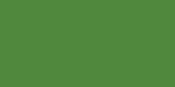 COLORTOOL FLORAL AEROSOL PAINT 12 OUNCES-BASIL