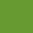 Ginger's Cameo Fabric Paint 181-Camelot Green