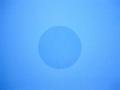 Scar Healing Silicone Disc 4.25 cm (1.6