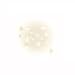 ERA Face Foundation Era Glaze Spray On Shimmer 24 Karat (1.5 oz)
