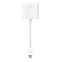 Apple Mini DisplayPort to DVI Adapter MB570Z/A