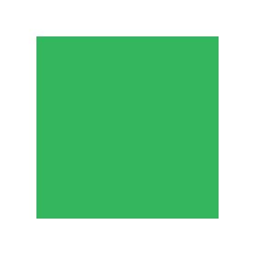 10x10' Infinity Lint Free ProCloth Background (ProChroma Green)