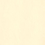Exact Bristol Cover Ivory 8-1/2x14 67lb 250/pkg