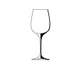 Eisch Breathable Chardonnay Glass