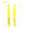 42 Sonic Flag-A-Tag Set of 12 - Gold