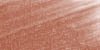 Laura Mercier Tinted Moisturizer - Oil Free Walnut