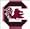 South Carolina Fighting Gamecocks