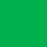 12x12 CRDSTCK 50pk DK GRS GRN