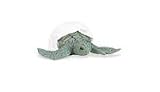 01s8mtzpnIL. SL160  Safari Ltd. Good Luck Mini Sea Turtle Hatchling