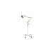 Brandt Exam Spring Lamp