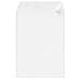 Peel/Seal Envelope, Plain, 28Lb, 9x12, 100/BX, White (SPR00906)