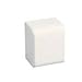 Panduit ECFX5IW-X End Cap Fitting, LDPH3/LDS3 Raceway, Non-Metallic, Off-White- Pack of 10