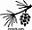 pineconebookshoppe