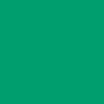 American Apparel - California Fleece Pull-Over Hoody, Kelly Green, L