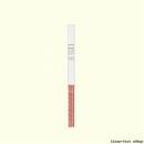 Marijuana (THC) Rapid Drug Test