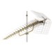 Uni-directional Antenna