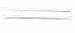 Gourmet Food : Georgia Pacific JW74 Wrapped Straw, Jumbo, 7-3/4',Translucent, 500/bx