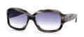 Kate Spade Sunglasses CARLA S 02WB (Y7) Gray (Gray Gradient) by