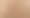Damask Neutral