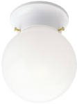 Westinghouse Lighting 66607 One Fixture White