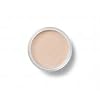 Bare Escentuals bareMinerals MINERAL VEIL 9g