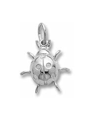 Lady Bug Charm