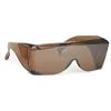 Sun Shield Sunglasses