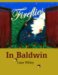 Fireflies in Baldwin