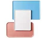 Tray Dietary 15x20 - Robin Egg Blue