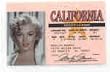 Marilyn Monroe Fake Drivers License