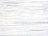 Shiva Casein Titanium White 5 oz tube
