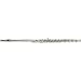 Avanti 1000 Intermediate Flute Outfit, B Foot Offset G