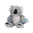 Webkinz Koala Bear