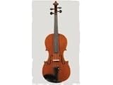 Stentor Messina Violin (Fully Set Up)