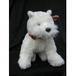 Ty Classic 14" Presents White Dog w/Stocking