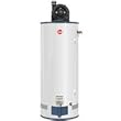 Rheem 43VP40PE2 40 Gallon FVR Propane Water Heater with Power Vent