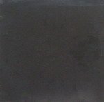 Black Album [VINYL]
