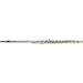 Avanti 2000 Professional Flute Outfit, B Foot Inline G