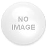 V-Tech 2002-06 Dodge Ram Mirror Restyling-Chrome-Flames VTE 1366970
