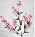 Baby Breath Stem-Pink
