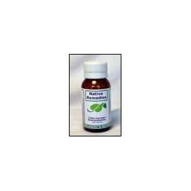 Native Remedies Triple Complex Bronchosoothe Alternative Asthma and Allergic Reaction Remedy