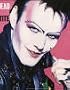 Sweet Transvestite
