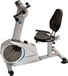Stamina Elite Total Body Recumbent Bike